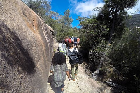 Wineglass Bay And Freycinet National Park Active Day Trip From Hobart - Tourism Cairns 21