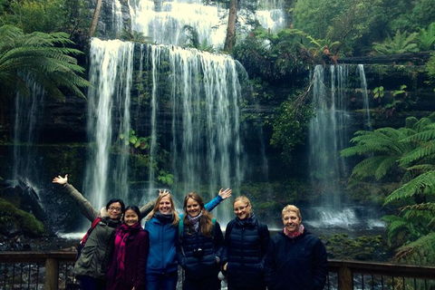 Mt Field National Park Active Day-Trip Including Bonorong And Mt Wellington - Tourism Cairns 1