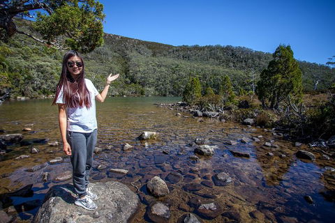 Mt Field National Park Active Day-Trip Including Bonorong And Mt Wellington - Tourism Cairns 12