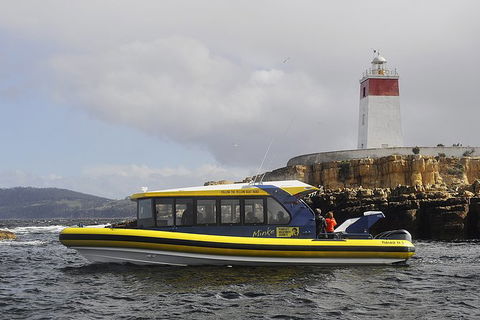 Hobart Sightseeing Cruise Including Iron Pot Lighthouse - Tourism Cairns 7