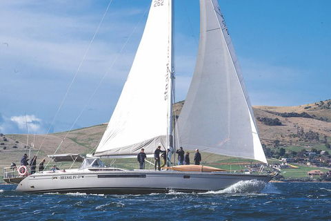 Half-Day Sailing On The Derwent River From Hobart - Tourism Cairns 5