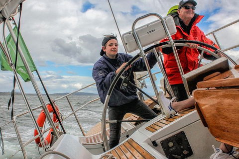 Half-Day Sailing On The Derwent River From Hobart - Tourism Cairns 4