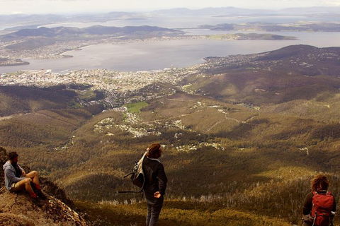 Mt Wellington Half Day Guided Summit Hike - Tourism Cairns 0