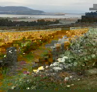 Mona and Wine Experience Tour - Tourism Cairns