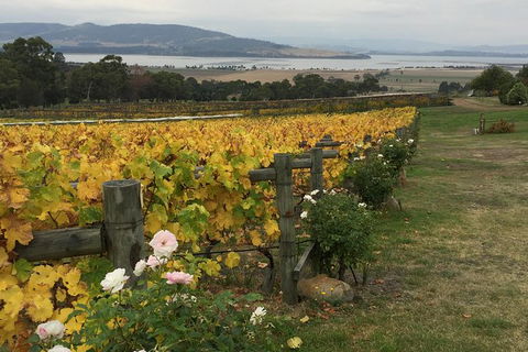 Mona And Wine Experience Tour - Tourism Cairns 0