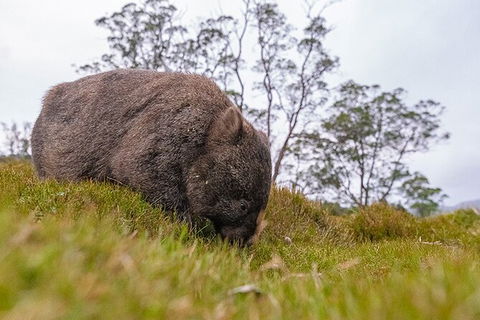 3-Day Cradle Mountain Photography Workshop - Tourism Cairns 7