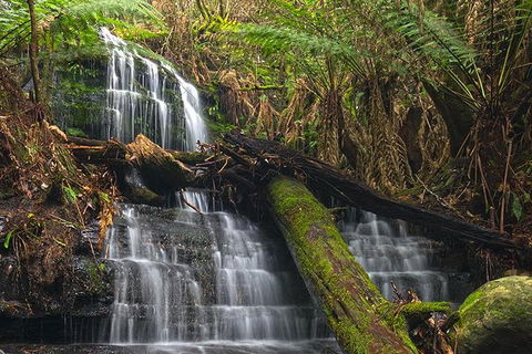 Hobart And Surrounds Photography Workshop - Tourism Cairns 1