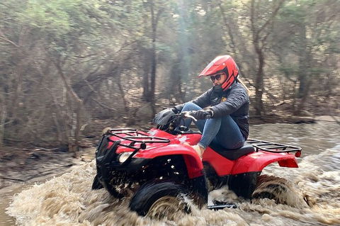 Half-Day Guided ATV Exploration Tour From Coles Bay - Tourism Cairns 7