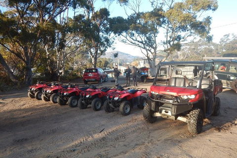 Half-Day Guided ATV Exploration Tour From Coles Bay - Tourism Cairns 4