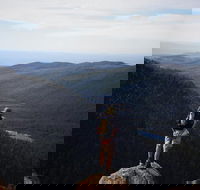 Mount Field National Park - Tarn Shelf  Russell Falls - Guided Hiking Tour - Tourism Cairns