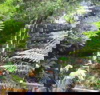Mt Field National Park and Russell Falls from Hobart - Tourism Cairns
