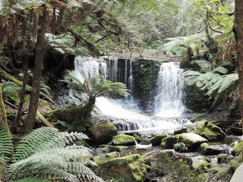Mt Field National Park And Russell Falls From Hobart - Tourism Cairns 2