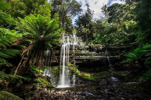 3-Day West Coast Tasmania Tour From Hobart Including Cradle Mountain, Montezuma Falls And Strahan - Tourism Cairns 3