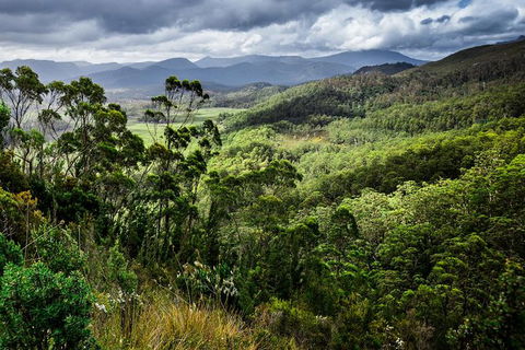 3-Day West Coast Tasmania Tour From Hobart Including Cradle Mountain, Montezuma Falls And Strahan - Tourism Cairns 6