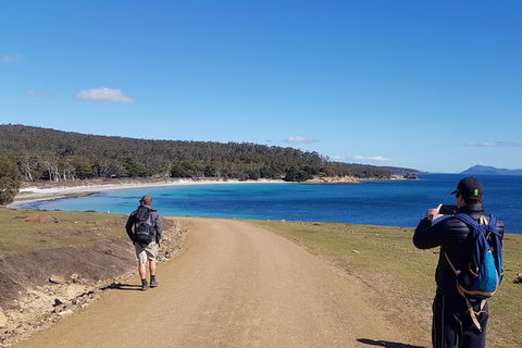 Maria Island National Park - Day Walk And Picnic Lunch - Tourism Cairns 14