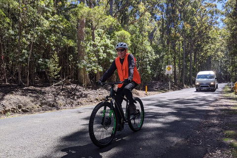 Mount Wellington Descent Cycling Tour Departs Hobart - Tourism Cairns 10