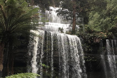 Wilderness And Wildlife - Tourism Cairns 1