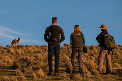 Small Group Tasmanias Wilderness And Wildlife Day Tour - Tourism Cairns 0