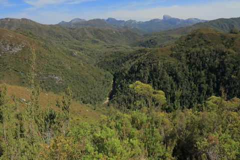 Lake St. Clair And Western Wilderness Active Day Trip From Hobart - Tourism Cairns 9