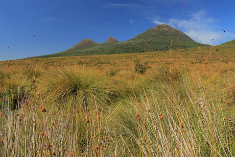 Lake St. Clair And Western Wilderness Active Day Trip From Hobart - Tourism Cairns 11