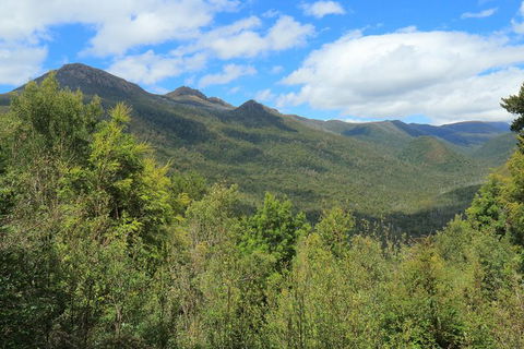 Lake St. Clair And Western Wilderness Active Day Trip From Hobart - Tourism Cairns 13