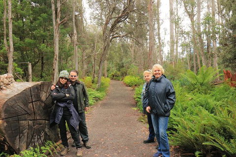 Lake St. Clair And Western Wilderness Active Day Trip From Hobart - Tourism Cairns 8