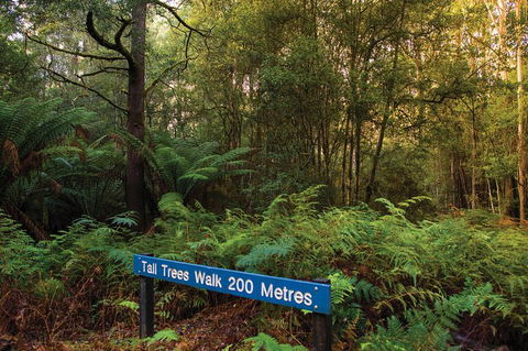 Small-group Tour From Hobart: Derwent River Valley And Coal River Valley - Tourism Cairns 7