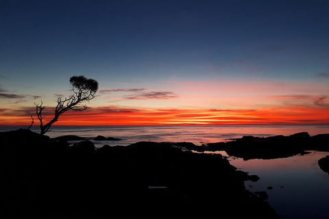 3-Day Bay Of Fires Photography Workshop From Hobart - Tourism Cairns 5