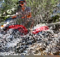 Quad Bike 2-Hour Adventure Freycinet National Park - Tourism Cairns