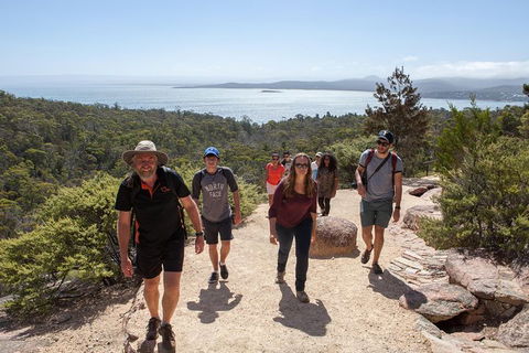 Active Day Tour One-Way From Hobart To Launceston With Wineglass Bay - Tourism Cairns 1