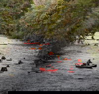 Meander Wilderness Experiences - Tourism Cairns