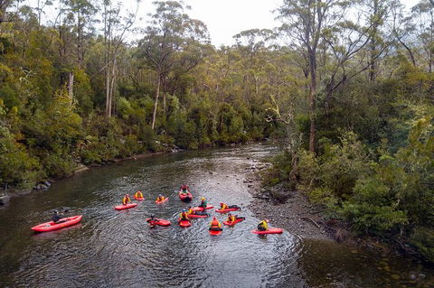Meander Wilderness Experiences - Tourism Cairns 1