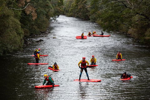 Meander Wilderness Experiences - Tourism Cairns 3