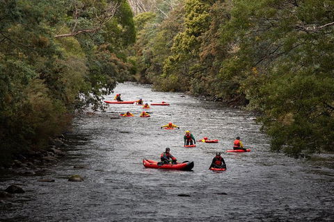 Meander Wilderness Experiences - Tourism Cairns 2