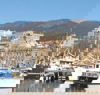 Private Mt Wellington Richmond Bonorong Wildlife Sanctuary Tour from Hobart - Tourism Cairns
