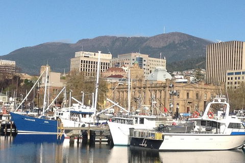 Private Mt Wellington, Richmond, Bonorong Wildlife Sanctuary Tour From Hobart - Tourism Cairns 0
