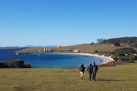 6-Day Best Of Tasmania Hiking Tour From Hobart - Tourism Cairns 1