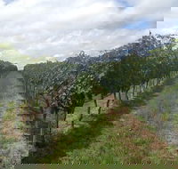 Coal River Valley  Hobart food  wine grazing tour - Tourism Cairns