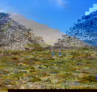 3-Day Hobart Adventure Tour Mount Field Cape Hauy and Hartz Peak - Tourism Cairns