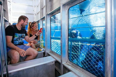 White Shark Tour With Optional Cage Dive From Port Lincoln - Tourism Cairns 4