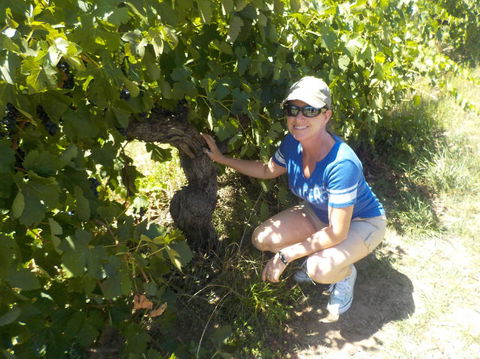 Barossa Valley Wineries Tour With Tastings And Lunch From Adelaide - Tourism Cairns 11