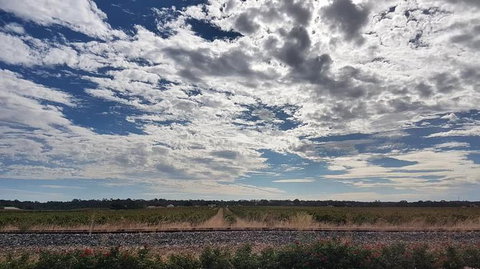 Barossa Valley Full-Day Tour From Adelaide With Maggie Beer Farm - Tourism Cairns 3