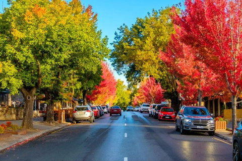 Barossa Valley Full-Day Tour From Adelaide With Maggie Beer Farm - Tourism Cairns 6