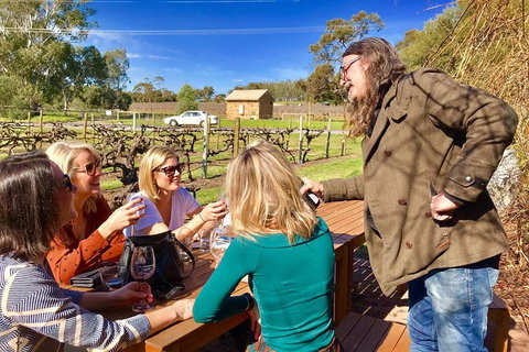 Mclaren Vale Luxury Full Day Small Group Wine Tour - Tourism Cairns 6