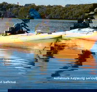 Adelaide Dolphin Sanctuary and Ships Graveyard Kayak Tour - Tourism Cairns