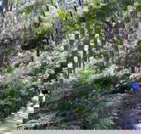 Self-Guided Waterfall Gully to Mount Lofty Hike from Adelaide - Tourism Cairns