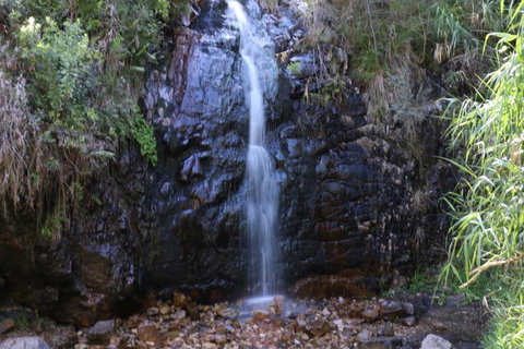 Self-Guided Waterfall Gully To Mount Lofty Hike From Adelaide - Tourism Cairns 2