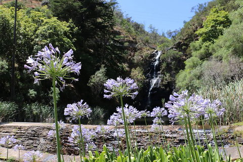 Self-Guided Waterfall Gully To Mount Lofty Hike From Adelaide - Tourism Cairns 6