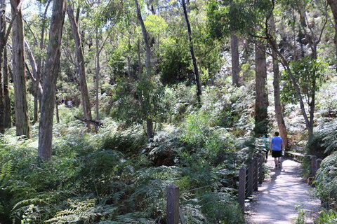 Self-Guided Waterfall Gully To Mount Lofty Hike From Adelaide - Tourism Cairns 3