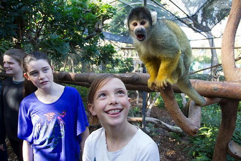 Adelaide Zoo Behind The Scenes Experience: Squirrel Monkey Feeding - Tourism Cairns 1